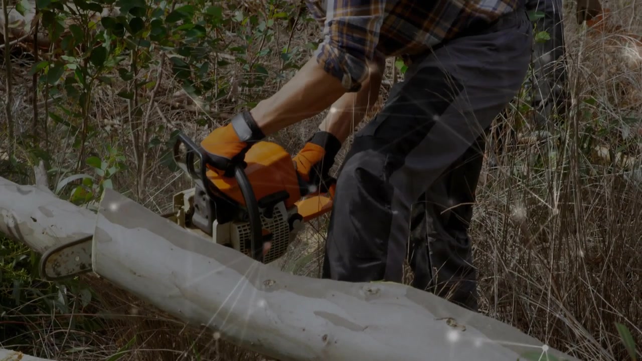 Tree worker positioning chainsaw and placing foot, pulling saw into cut, clearing fallen trunk