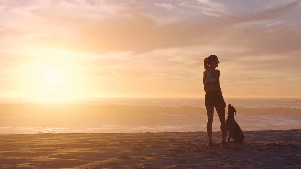 개 와 함께 놀고 있는 암 ⁇