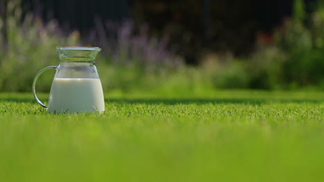 cántaro de vidrio de leche en un jardín