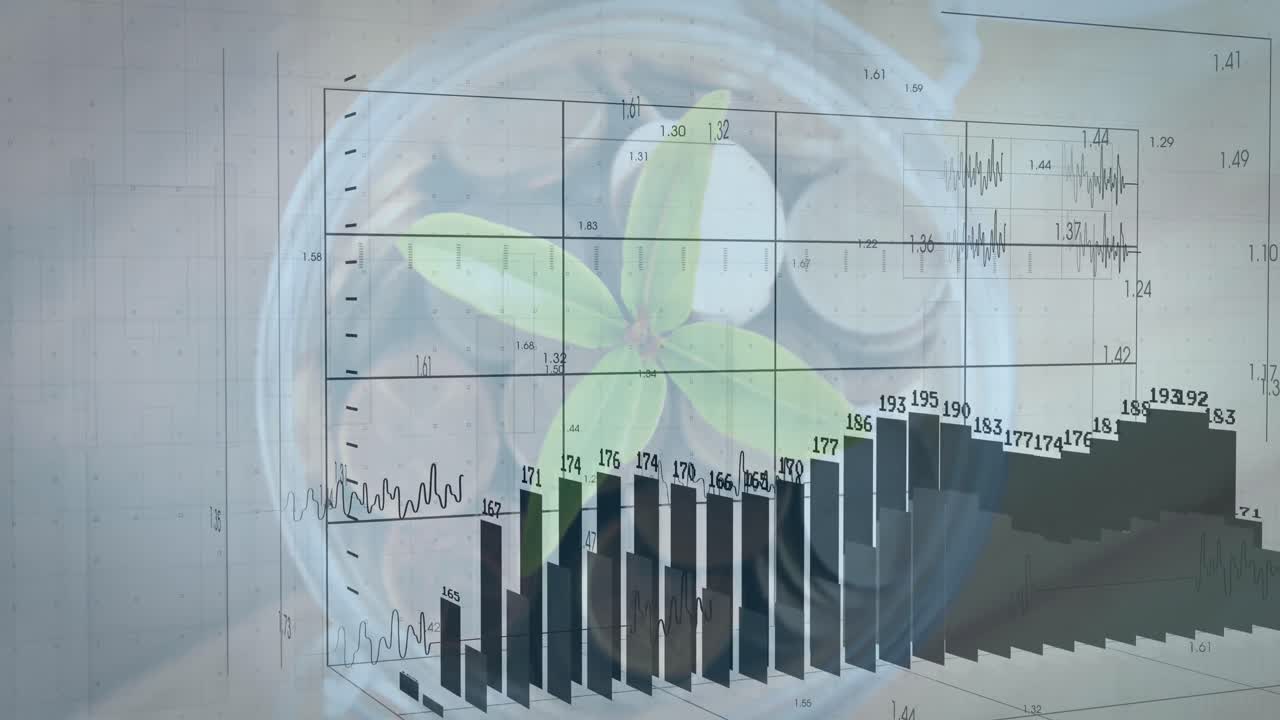 화이트 배경에 동전과 플랜트 위의 금융 데이터 처리 애니메이션