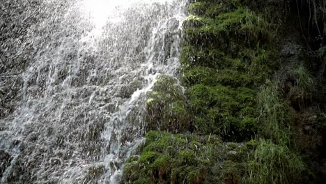 closeup water flowing on rock wall covered on moss, liquen. freshwater running and splashing. water drops on the air. beautiful sunlight. monasterio de piedra park. spain
