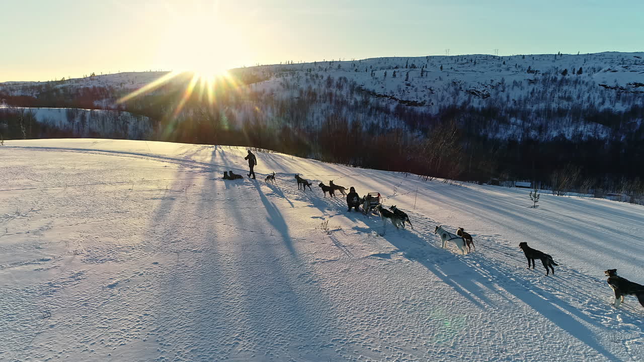la gente y los perros de trineo se detuvieron en la nieve con rayos de sol detrás de las montañas al atardecer