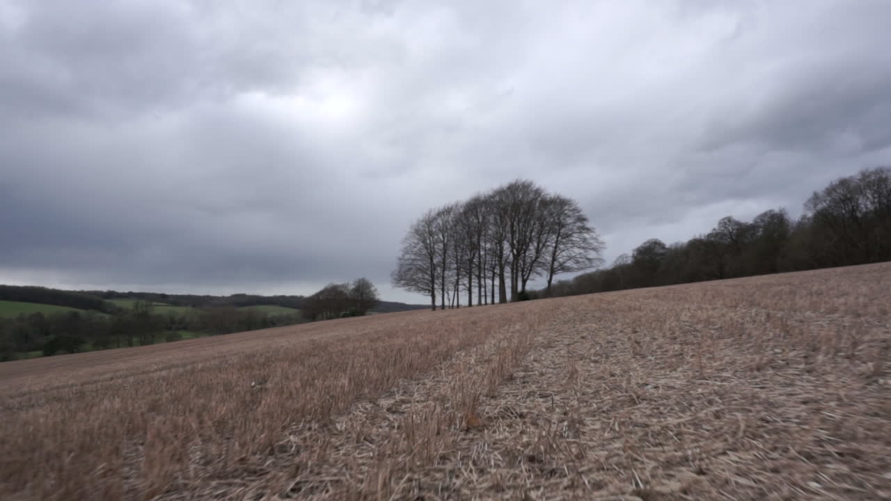 lapso de tiempo mientras camina hacia un árbol en un campo abierto
