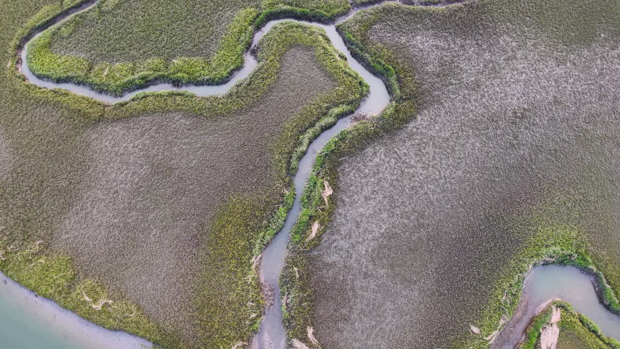 Aerial view of winding tidal creeks and salt marshes near the coast of South Carolina