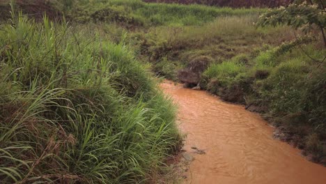 Pequeño-Río-Con-Agua-Marrón