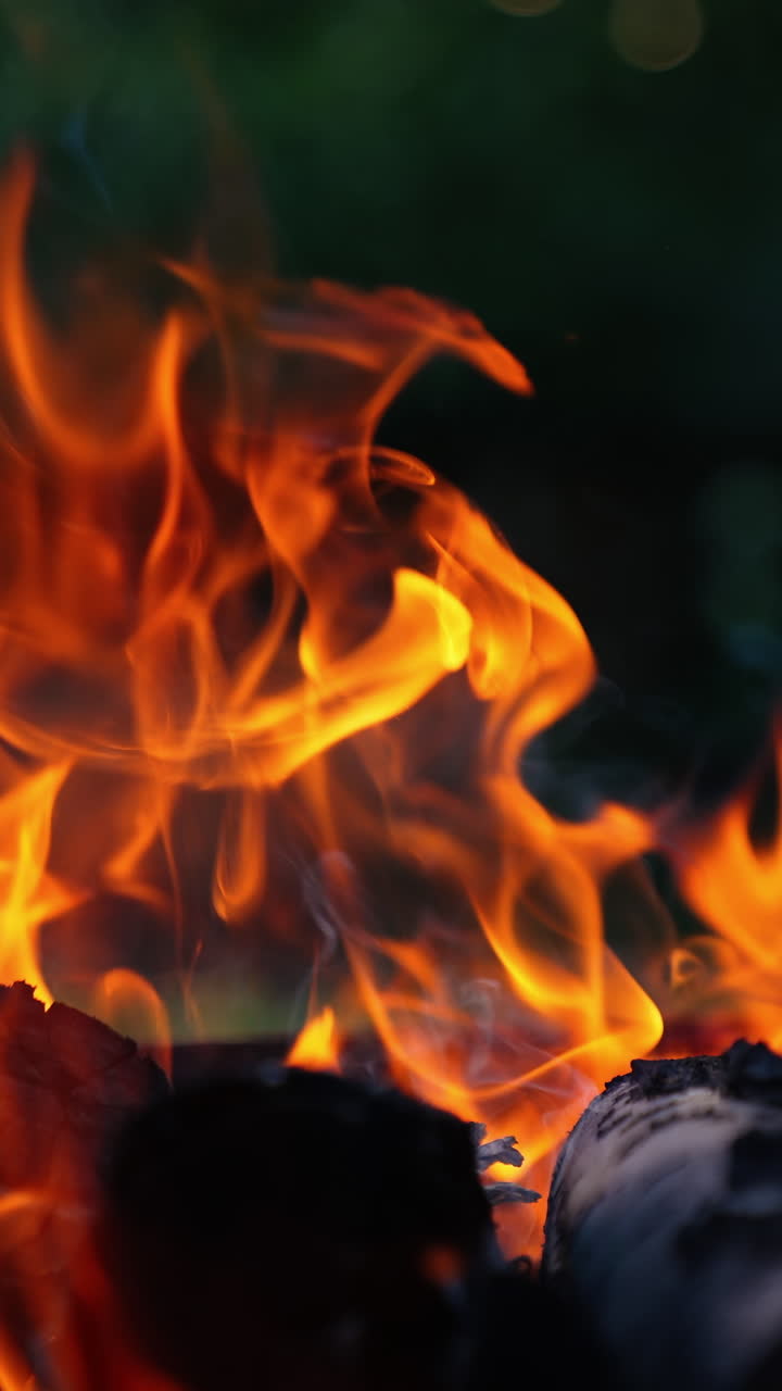 Fire flame on blur nature background. Motion of vivid fire tongues. Beautiful orange flame of fire. Slow motion. Vertical video