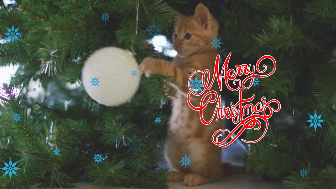 고양이 와 크리스마스 트리 위 에 있는 메리 크리스마스 텍스트 의 애니메이션