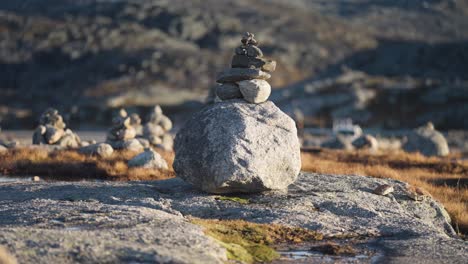 small stone cairns scattered through the stark northern landscape