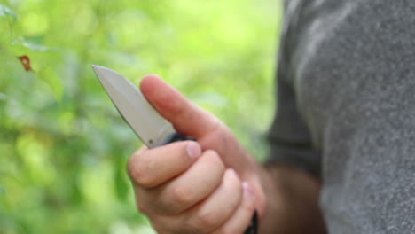 knife in natural forest 1