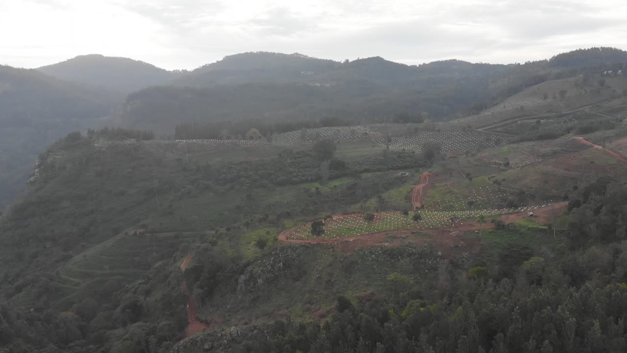 establecimiento de vistas aéreas sobre colinas naturales en india cubiertas de árboles verdes en un ambiente relajante, concepto de conservación