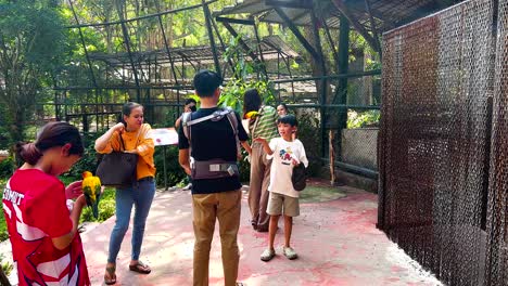 visitors interact with colorful birds at zoo