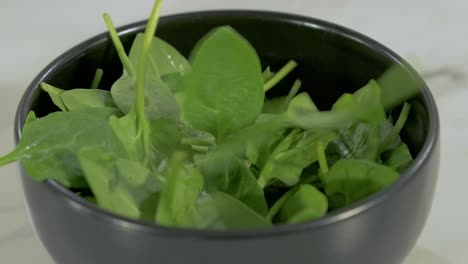 pouring green fresh spinach to the black clay bowl, making the vegetable salad, cooking with greens, vitamin and healthy food, vegetarian meals, handheld close up shot