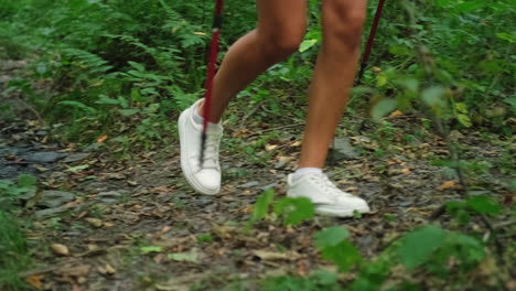 mujer caminando por el sendero del bosque