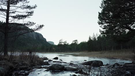 Río-Que-Fluye-A-Través-Del-Bosque-En-Hildremsvatnet,-Noruega---Toma-Estática