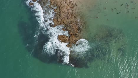 Vista-Panorámica-De-Pájaro-Teledirigido-Aéreo-Descendente-De-La-Popular-Playa-Tropical-De-Coquerinhos-Con-Olas-Rompiendo-En-Rocas-Expuestas,-Palmeras,-Arena-Dorada,-Agua-Turquesa-En-Conde,-Paraiba,-Brasil