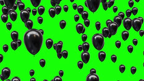 flying black helium balloons wide shot from bottom to top and disappear isolated on green screen background 4k