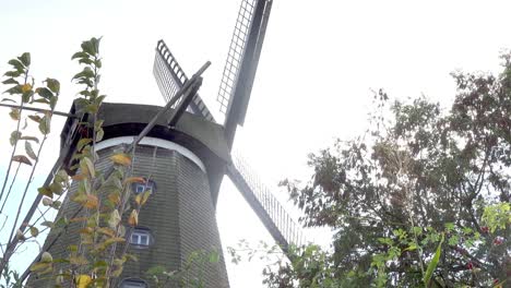 wings of a historical windmill turning in the wind, shot from a low angle with leaves on branches in the foreground