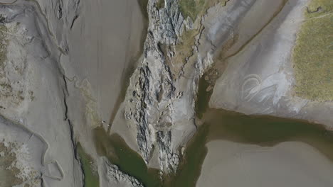 Aerial-top-down-view-of-the-shore-line-at-low-tide-showing-sheep-walking-across-to-graze,-bright-day