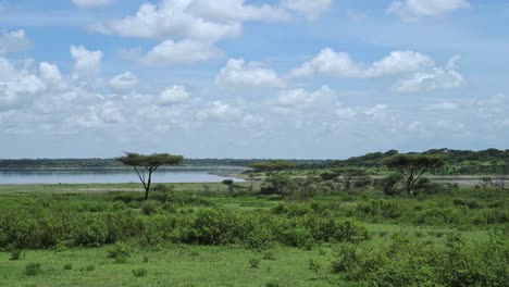 african landscape scenery in africa, lush green greenery and blue sky and clouds at ndutu lake national park in ngorongoro conservation area in tanzania on safari