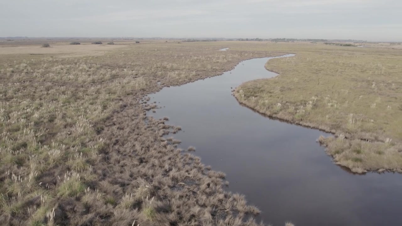 Veduta a volo d'uccello che sorvola un tranquillo canale estuariale che si snoda attraverso le zone umide protette di Campos del Tuyú, Provincia di Buenos Aires, Argentina. Vegetazione autoctona ed ecosistema costiero preservato.
