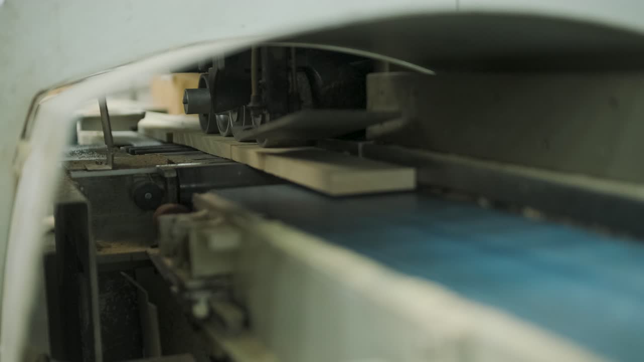 Wood Planks Moving on Conveyor Belt Through Cutting Machine
