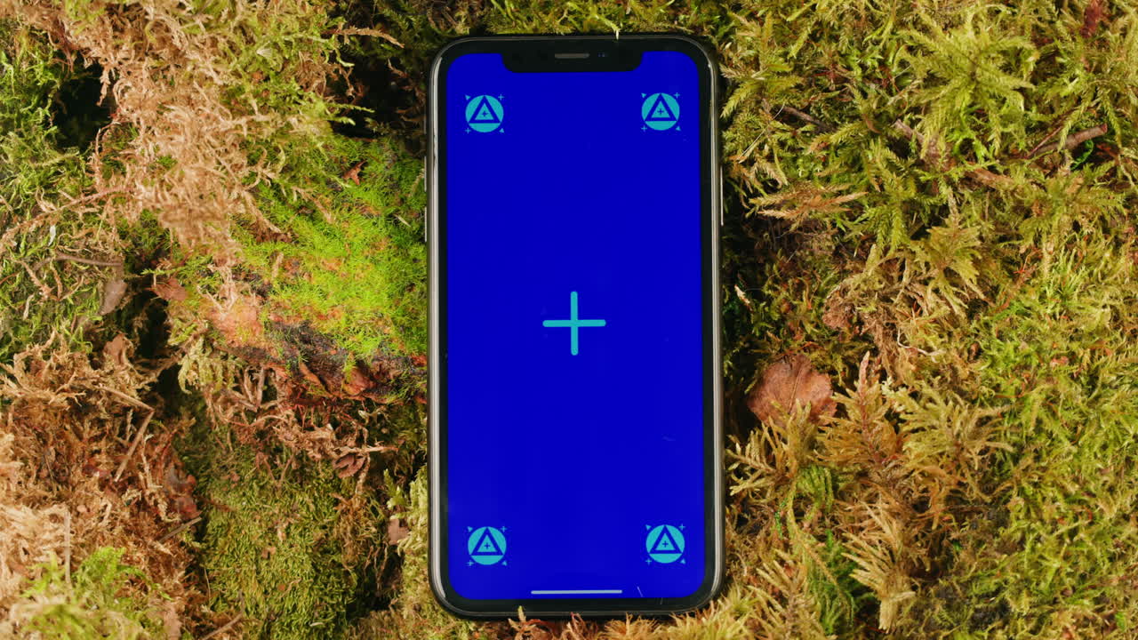 Mobile phone with green screen chroma key display on the background of moss forest.