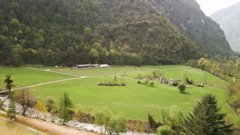 Grüne-Landschaft-Am-Berghang-Mit-Dichten-Kiefern-Während-Bewölkter-Tage-Im-Kanton-Tessin,-Schweiz