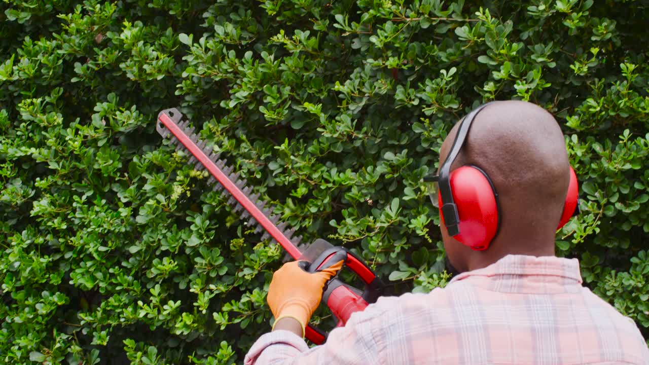 African American man wearing plaid turning trimmer, trimming and shaping hedge in yard, copy space