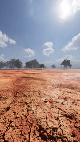 dry cracked earth in a desert landscape