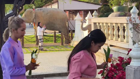 temple visit in thailand with prayer and elephant