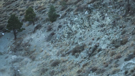 Rocky-Hillside-and-Steam-from-Geothermal-Springs-at-Hot-Creek-Geological-Site,-California,-US