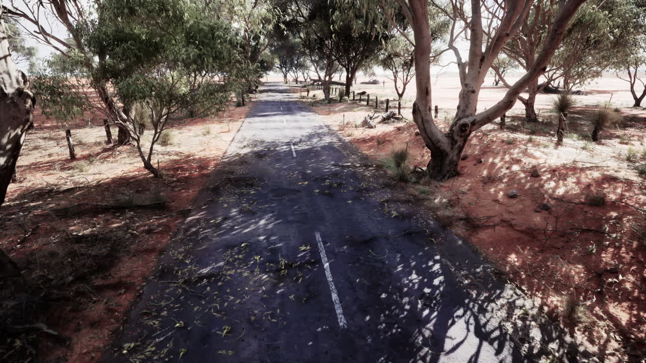 오스트레일리아 의 빈 시골 도로