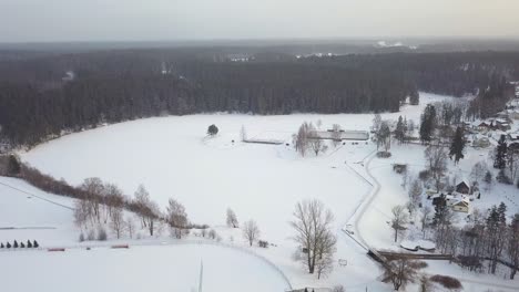 Snowy-Field-And-Dense-Forest-inSmiltene-Town-At-Wintertime-In-Latvia,-Europe---aerial