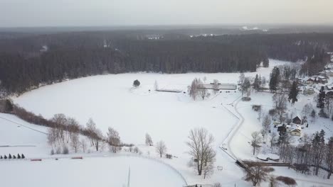 Campo-Nevado-Y-Denso-Bosque-En-La-Ciudad-De-Insmiltene-En-Invierno-En-Letonia,-Europa---Antena