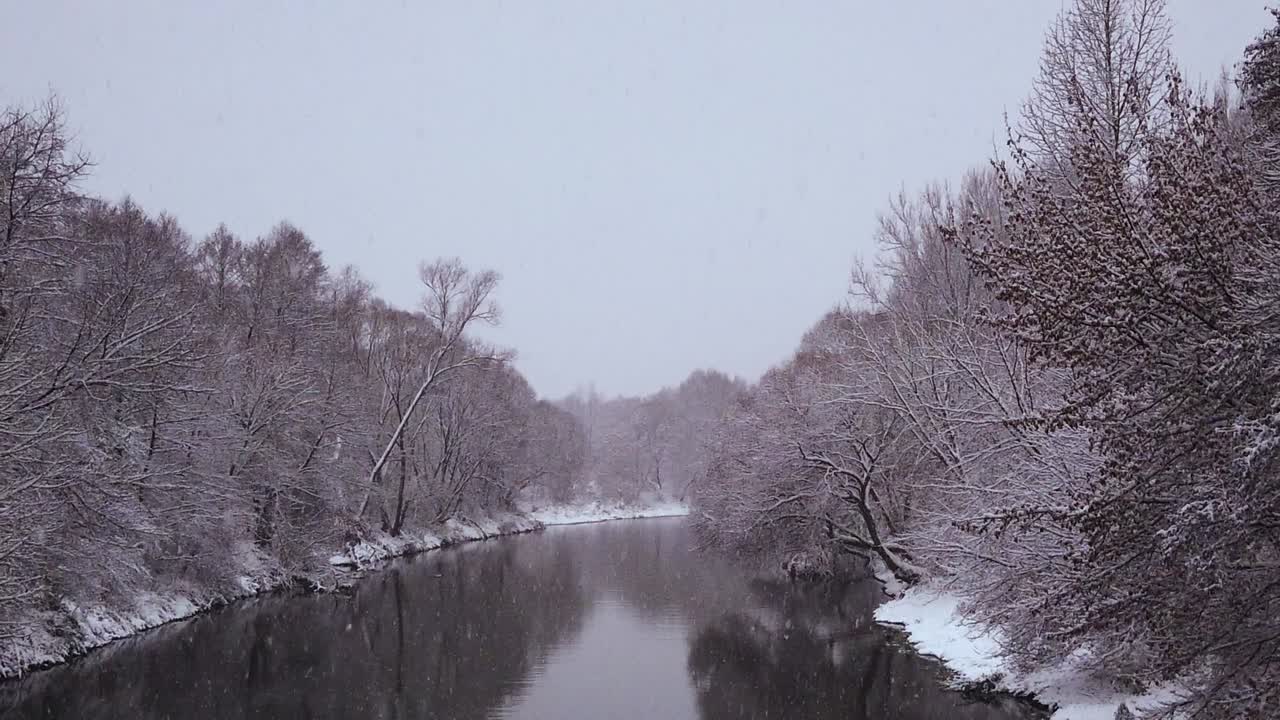 Nevicata leggera sulla sorgente calma di un fiume in mezzo alla foresta nell'Europa settentrionale - inquadratura panoramica