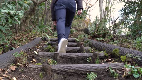 Vista-Trasera-De-Un-Mochilero-Masculino-Caminando-Por-La-Escalera-De-Madera-En-El-Sendero-De-Montaña-Con-árboles-Verdes---Tiro-De-ángulo-Bajo