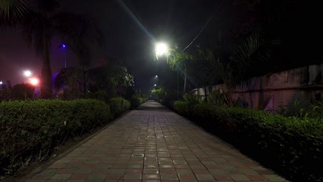 serene garden pathway at night, lit by soft streetlights, surrounded by greenery and tranquil atmosphere.