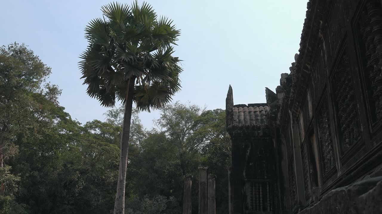 Medium Exterior Timelapse Shot of Ancient Temple With Palm Tree