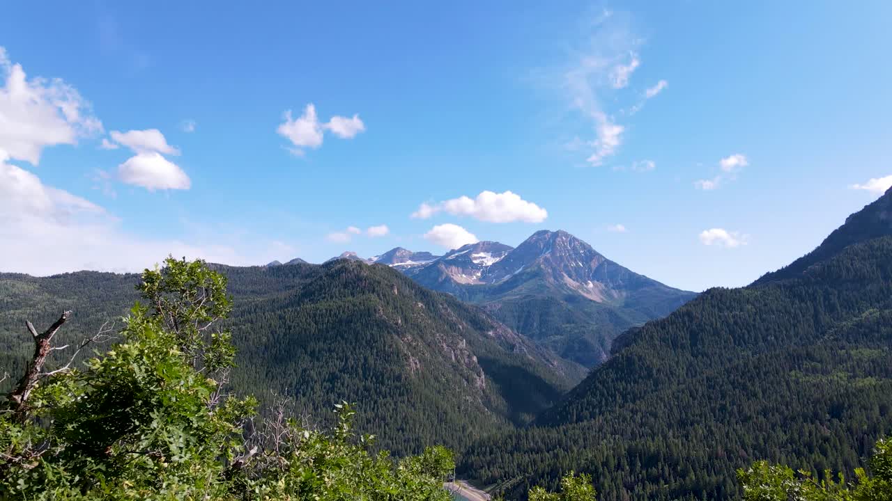森、山、湖の景色を眺めながら木々の間に戻る