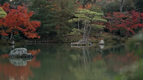 the iconic golden pavilion, kinkaku-ji, reflects beautifully on the tranquil lake surrounded by the rich, vibrant colors of autumn foliage in kyoto.