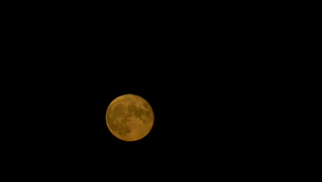 Voller-Gelber-Mond-In-Den-Nächtlichen-Sommerhimmel