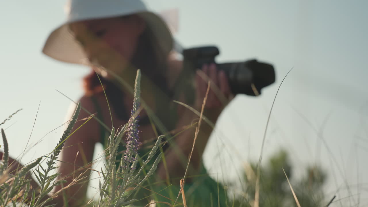 close up of wild purple flower in sunlit meadow as woman in green dress stands up with camera in hand and walks away slowly leaving plant swaying in gentle breeze under soft morning light