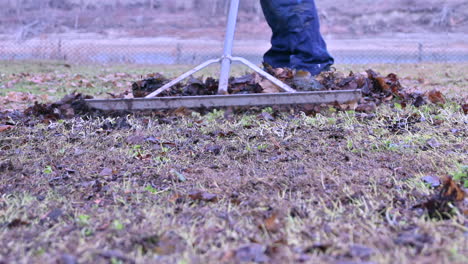 Autumn's-Cleanup:-Raking-Leaves-into-Order