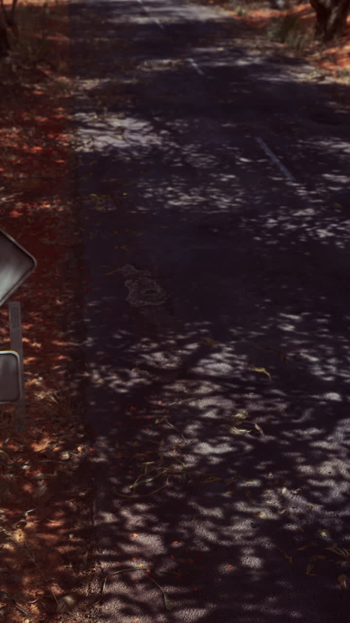 sombras en un camino de campo