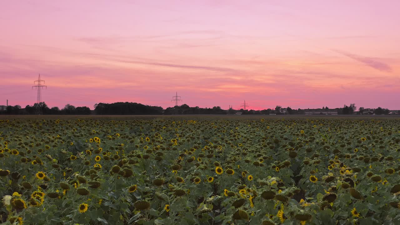 concepto de la naturaleza maravillosa