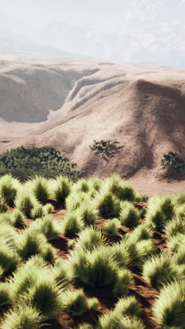 a wide shot of a grassy hill with mountains in the background