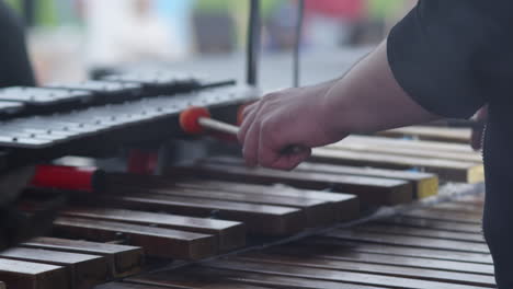 person playing marimba