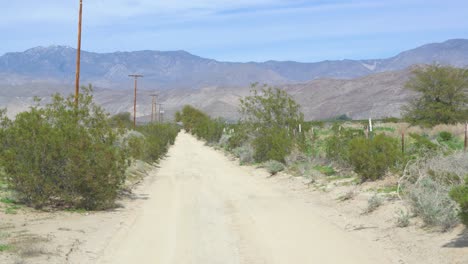 una amplia toma de una carretera cubierta de arena rodeada de montañas rocosas, suculentas verdes exuberantes y viejas líneas eléctricas en el desierto de anza borrego