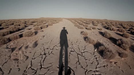 person walking through a dry desert landscape