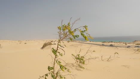 Paisaje-Desierto-Y-Atmósfera-Nublada-A-Lo-Largo-De-La-Carretera-De-La-Isla-De-Fuerteventura,-España,-En-El-Océano-Atlántico